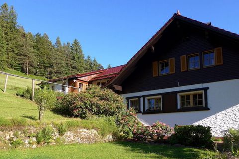 Gezelligheid in het Zwarte Woud, feel-good vakantieappartement met een zeer gezellige olietegelkachel (automatisch) - fantastische ligging aan het bos, zeer rustige ligging op de heuvel op het zuiden -