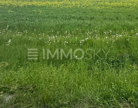 SONNIGES GROSSGRUNDSTÜCK IN BREGENZ, DER HAUPTSTADT AM BODENSEE. Dieses sonnige Großgrundstück liegt in einer der begehrtesten Gegenden von Bregenz, der charmanten Hauptstadt am Bodensee. + Großzügige Grundstücksgröße + Sonnige Lage + Widmung (Baumis...