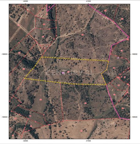 Vous cherchez à développer votre projet dans l’Alentejo ? C’est l’endroit idéal ! Situé dans la municipalité de Santiago de Cacém, avec une superficie totale de 107 250 m2, situé à 5 min. du village de São Domingos et 20 min. de Santiago do Cacém, un...