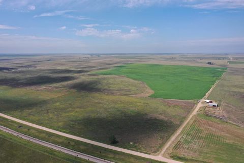 River Road Farm and Hunt is located west of Benkelman, NE and presents an opportunity to purchase an income producing farm with excellent hunting potential. The 355 +/- acre property is comprised of 180 +/- acres of productive dry-land farm ground wi...