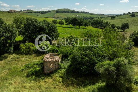 Casale/rudere di circa 350mq nella campagna di Montefollonico, Torrita di Siena. Beschrijving: L'antico casale posto in una zona collinare nella verde campagna di Montefollonico si sviluppa su due livelli per circa 350 mq tra piano terra e piano sott...