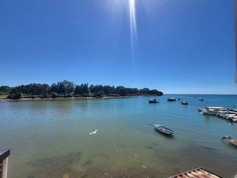 Vi presentiamo un affascinante appartamento con 1-2 camere da letto che vi stupirà con la sua posizione. Si trova nell'Istria croata, nella parte vecchia di Salvore, nelle immediate vicinanze del mare. La posizione tranquilla vi permette di trascorre...