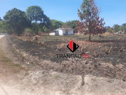 L’agence Transactis Immobilier vous propose de venir découvrir cette belle parcelle de terrain d'une superficie de 830m2 situé à Macouria. Honoraires à la charge du vendeur. Les informations sur les risques auxquels ce bien est exposé sont disponible...