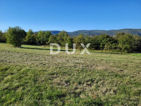 Location: Istarska županija, Motovun, Motovun. ISTRIA, MOTOVUN - Complesso di terreni edificabili e agricoli con vista su Montona Nella parte settentrionale dell'Istria, sopra la valle del fiume Quieto, su una collina conica situata a 277 metri sopra...