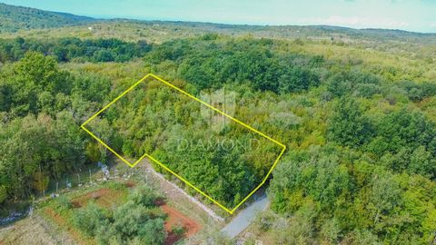 Location: Istarska županija, Grožnjan, Grožnjan. Istria, Grožnjan! Just an 8-minute drive from the beautiful town of Grožnjan, located in a quiet location, there is this exceptional building plot! The total area of ​​the land is 1,618 m2 and is compl...