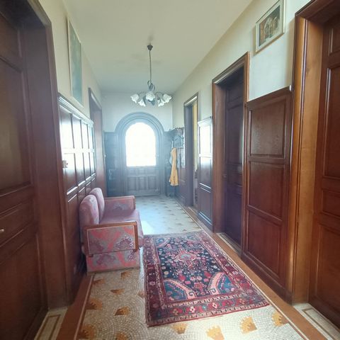 photo no. 6