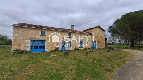 photo no. 13