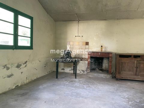 photo no. 19
