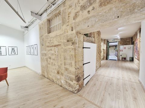 photo no. 5