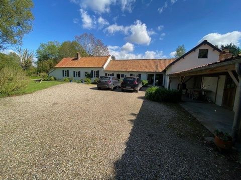 photo no. 13