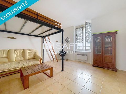 Spécial investisseurs ou Air bnb , etudiants.