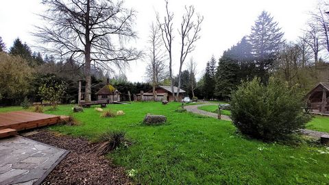 photo no. 2