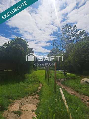 photo no. 19
