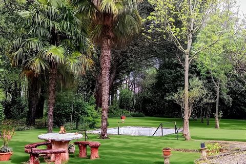 photo no. 4