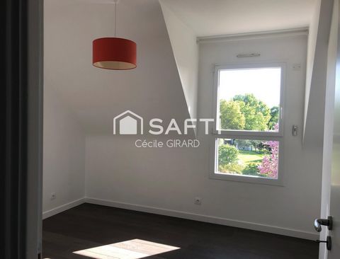photo no. 12