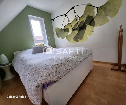 photo no. 17