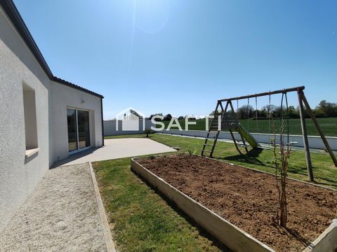 photo no. 16
