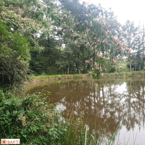 photo no. 15