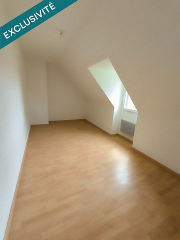 photo no. 11