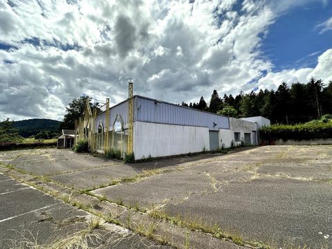 Rare Beau local commercial de 800 mètres carrés