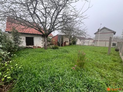 photo no. 6