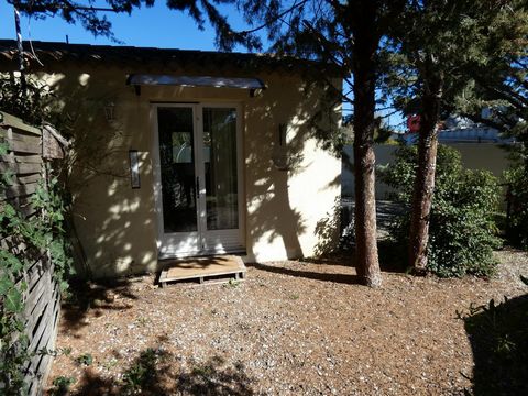 photo no. 12