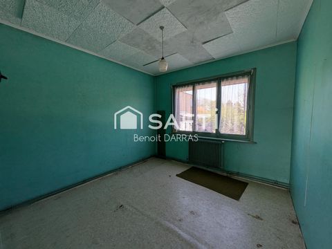 photo no. 12