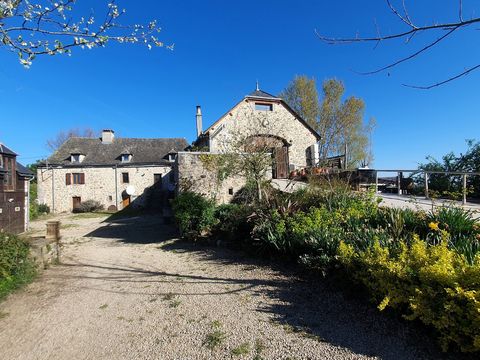 photo no. 39
