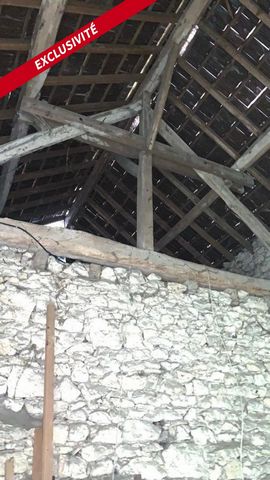 photo no. 6