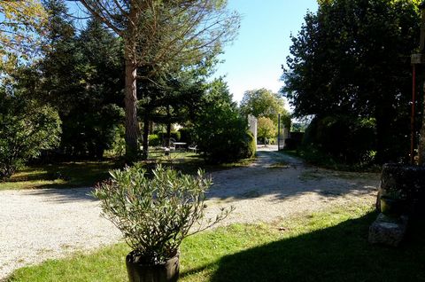 photo no. 14