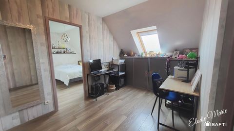 photo no. 11