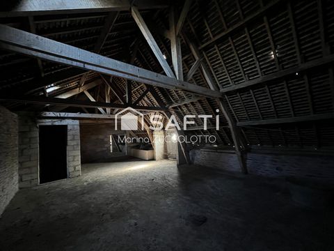 photo no. 15
