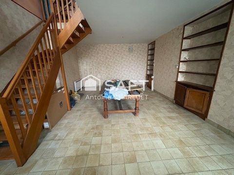 photo no. 5