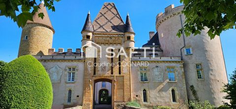 Appartement de charme avec jardin dans un château