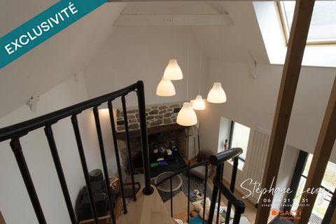 photo no. 7