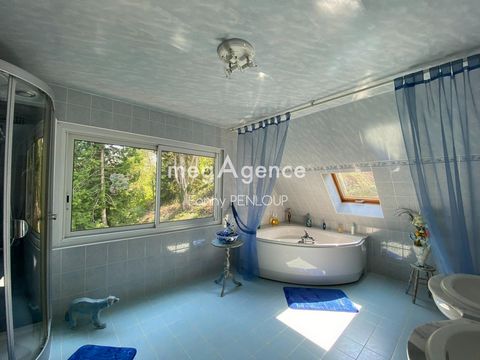 photo no. 6