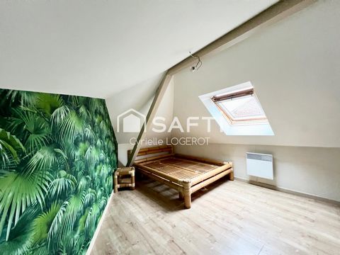 photo no. 13