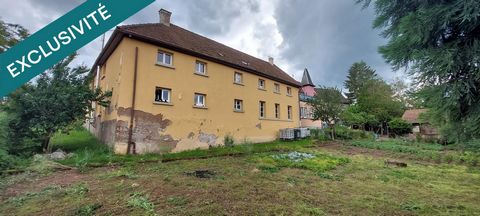 photo no. 15