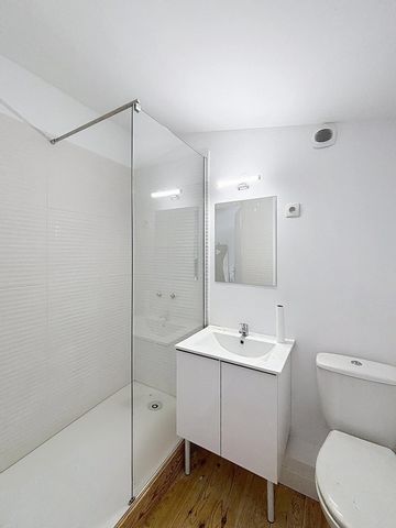 photo no. 6