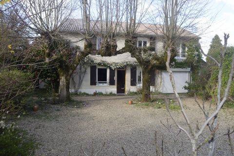 photo no. 17