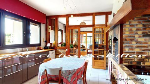 photo no. 12