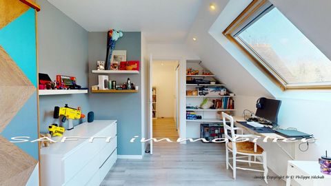photo no. 12