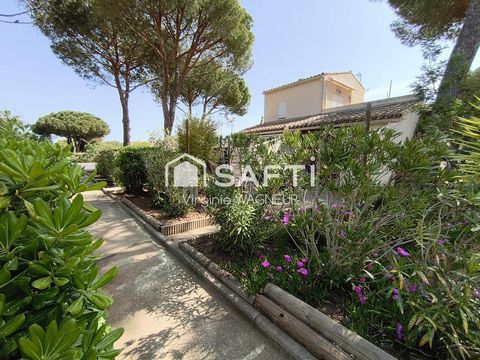 photo no. 10