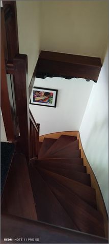 photo no. 11