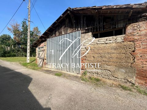 photo no. 15