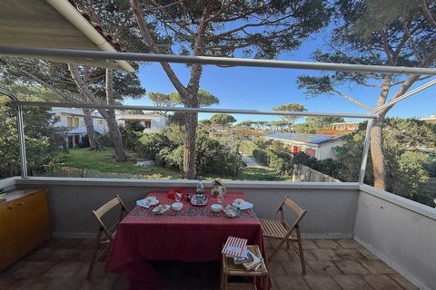 Czyste powietrze, spacery po plaży i zapierające dech w piersiach zachody słońca przez cały rok. Życie w pobliżu morza jest dobre dla zdrowia i jest doskonałym antidotum na stres. Obecność drzew i roślin sprawia, że powietrze jest czystsze i łagodzi ...