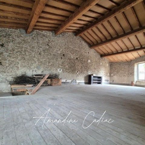 photo no. 8