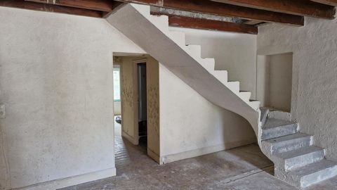 photo no. 6
