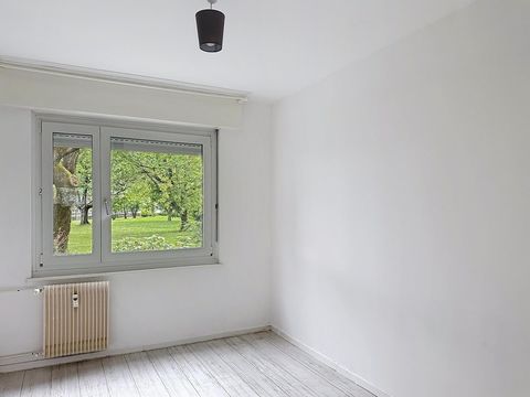photo no. 4