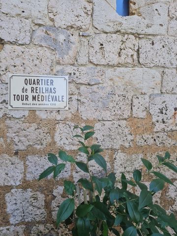 photo no. 1